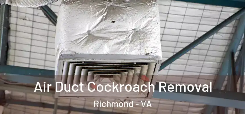 Air Duct Cockroach Removal Richmond - VA