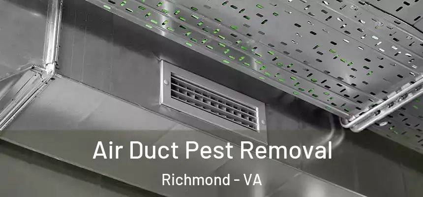 Air Duct Pest Removal Richmond - VA