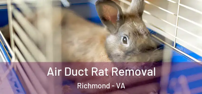 Air Duct Rat Removal Richmond - VA