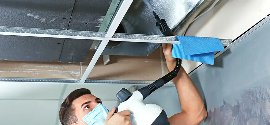 Our Air Duct Rodent Removal Services in Richmond, VA