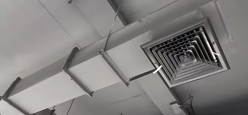 Our Rodent Droppings In Vents Services in Richmond, VA