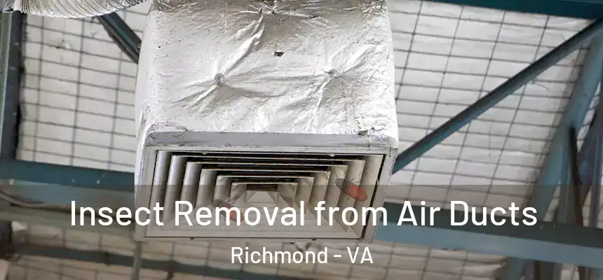 Insect Removal from Air Ducts Richmond - VA