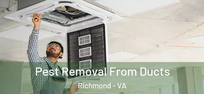 Pest Removal From Ducts Richmond - VA