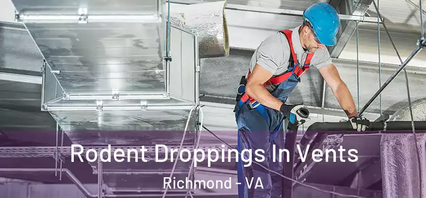  Rodent Droppings In Vents Richmond - VA