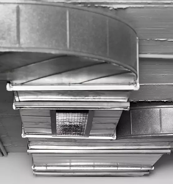 Professional Air Duct Pest Removal in Richmond, VA