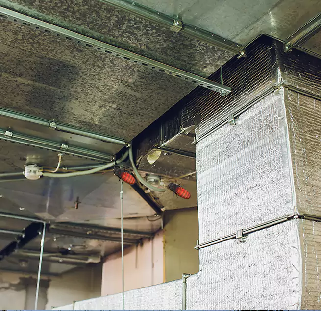 Why Homeowners & Businesses Trust Us in Richmond, VA?