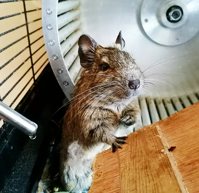 Why Homeowners & Businesses Trust Us Richmond, VA?