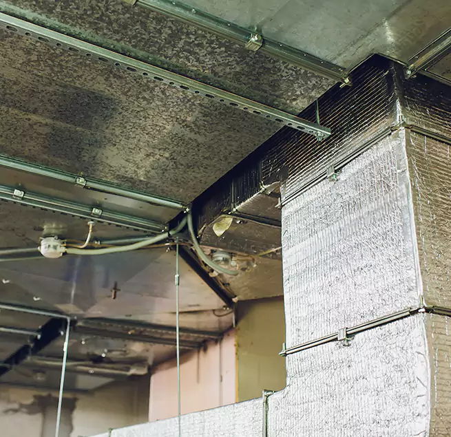 Why Homeowners & Businesses Trust Us in Richmond, VA?